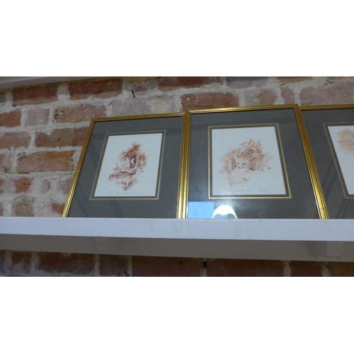 230 - A set of four framed limited edition wildlife prints by William Garfit, frame size 37cm x 32cm and a... 