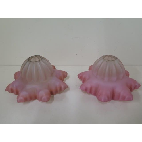 Lot 271       