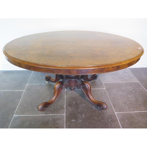 41 - A Victorian burr walnut oval tilt top breakfast table on four scroll supports - Height 73cm x 152cm ... 