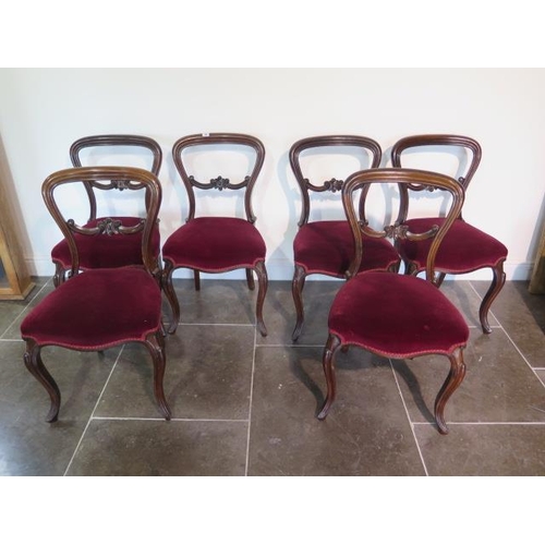 59 - A set of six Victorian rosewood balloon back dining chairs on shaped front legs - all sturdy, two wi... 