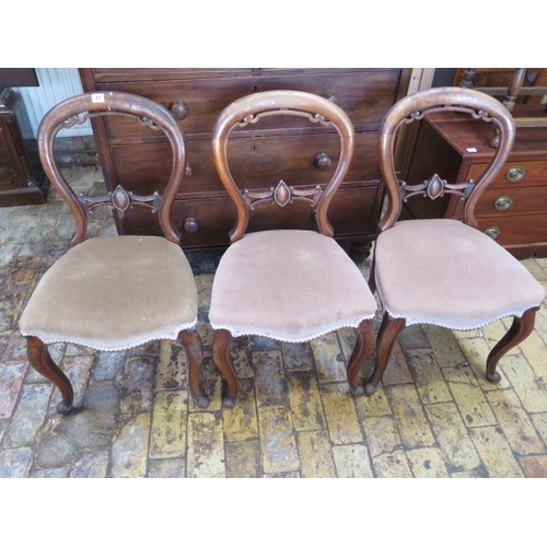 77 - A set of three Victorian balloon back chairs