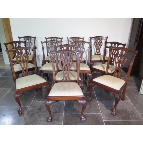 82 - A set of twelve Georgian style dining chairs including two carvers with stripped seats on ball and c... 