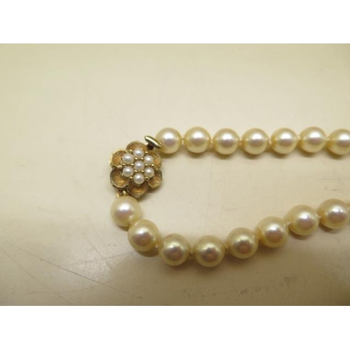 469 - A string of Ciro pearls with a 9ct clasp, 73cm long, pearls approx 7mm