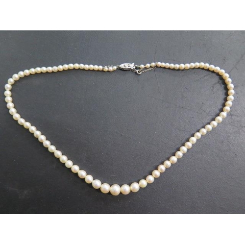 485 - A string of pearls, 46cm long, with a 9ct white gold clasp, largest pearl approx 7mm