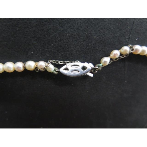 485 - A string of pearls, 46cm long, with a 9ct white gold clasp, largest pearl approx 7mm