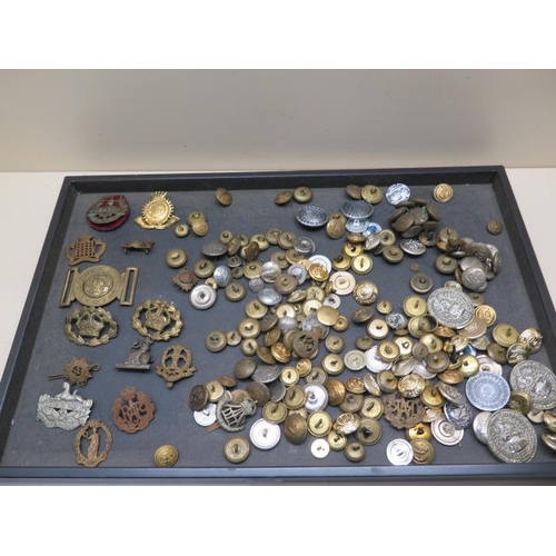 908 - A collection of assorted military and other badges and buttons