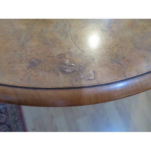 95 - A Victorian burr walnut tilt top oval breakfast / dining table, on turned and carved column and quat... 