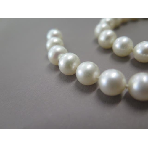 480 - A string of pearls 44cm long with a 14ct gold clasp, each pearl approx 6mm x 6mm