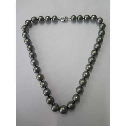 511 - A good string of black 'Rio Pearl' pearls with a 14ct white gold clasp, 48cm long, graduating from 1... 