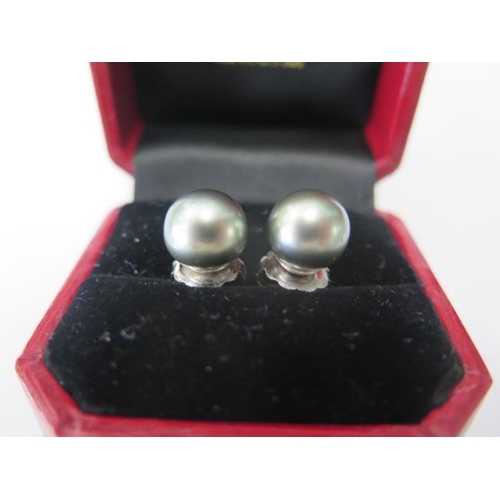 513 - A pair of 14ct white gold black pearl earrings 'Rio Pearls', approx 10mm, in good condition