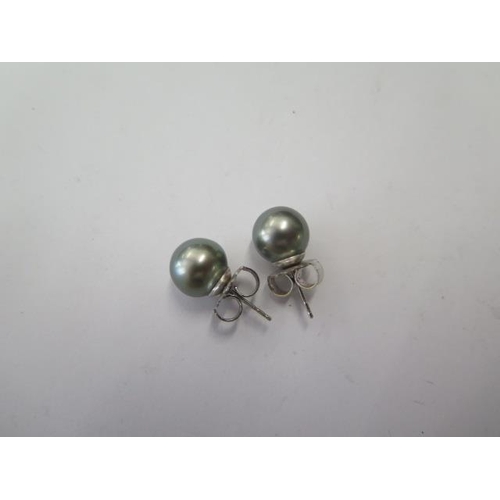 513 - A pair of 14ct white gold black pearl earrings 'Rio Pearls', approx 10mm, in good condition