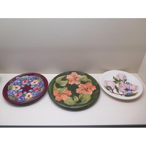 255 - Three Moorcroft plates, 31cm and 26cm diameter, some crazing, all good