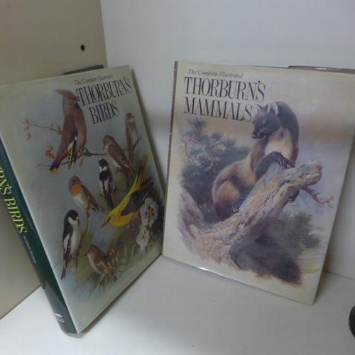 246 - Two Wordsworth Editions - Volumes Thorburns Mammals and Thorburns Birds