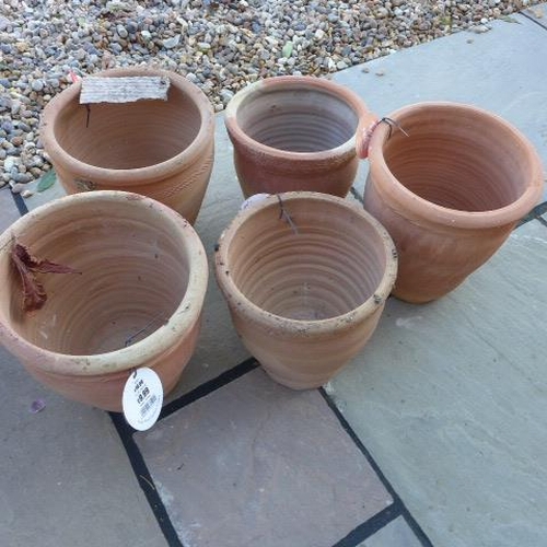 78 - Five assorted terracotta pots - Tallest 29cm