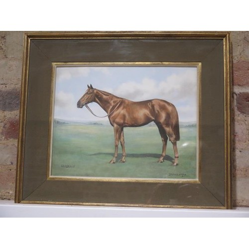 172 - Douglas Hooper Sutton watercolour study of the racehorse Crepello very finely executed - painting fr... 