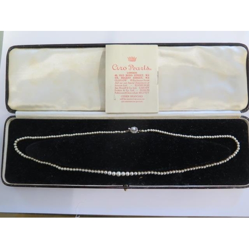 30 - A fine string of Ciro pearls with 15ct gold clasp - Length 46cm, largest approx 5mm - with box