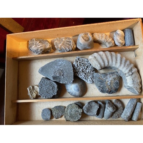 291 - Geologist interest , a leather case with contents to include a collection of rocks and fossils , bra... 