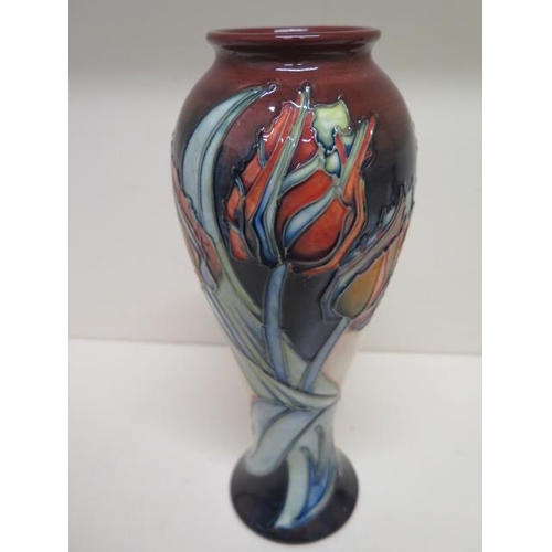 278 - A Moorcroft baluster shaped red tulip vase - Height 27cm - in good condition, some crazing mainly to... 