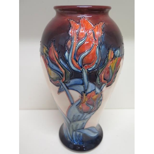 279 - A Moorcroft red tulip vase - Height 31cm - in good condition, some crazing mainly to base