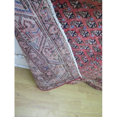305 - A hand knotted woollen Araak rug - 1.98m x 1.26m