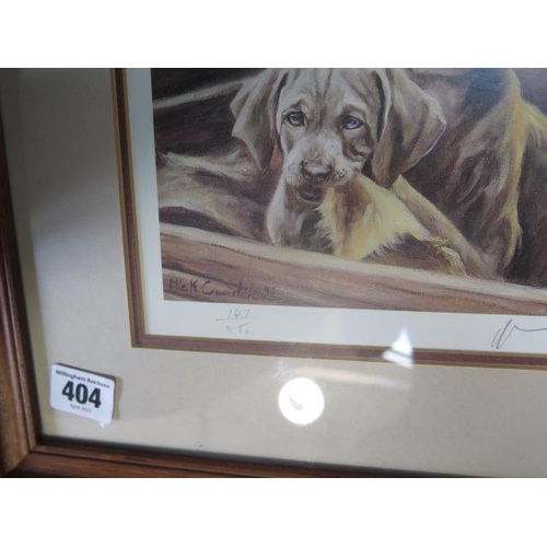 404 - Three prints of Weimaraner dogs Zareby Mick Cawston 147/550 20/550 one by Barfield