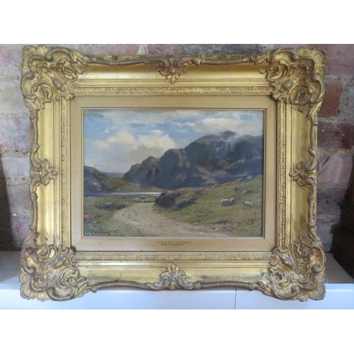 450 - Duncan Cameron Scottish painter - An oil on canvas entitled A Sunny Day in Glencoe - frame size 46cm... 