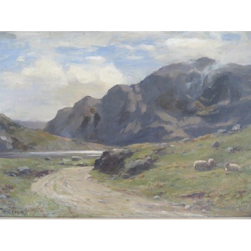 450 - Duncan Cameron Scottish painter - An oil on canvas entitled A Sunny Day in Glencoe - frame size 46cm... 