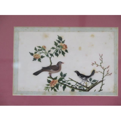 471 - Two Chinese watercolours on silk of birds in gilt frames - frame size 24cm x 29cm - some staining, s... 