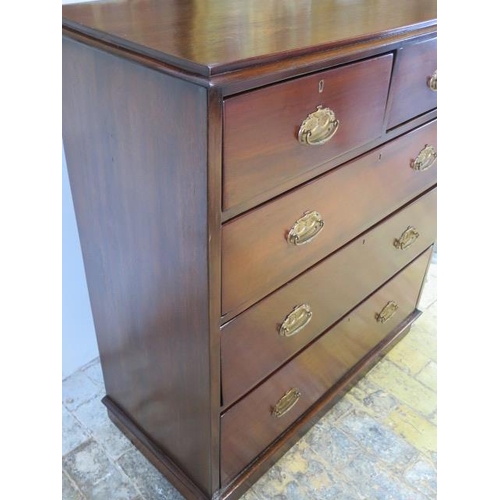 621 - A walnut chest of two over three graduated drawers on a plinth base - in polished and restored condi... 