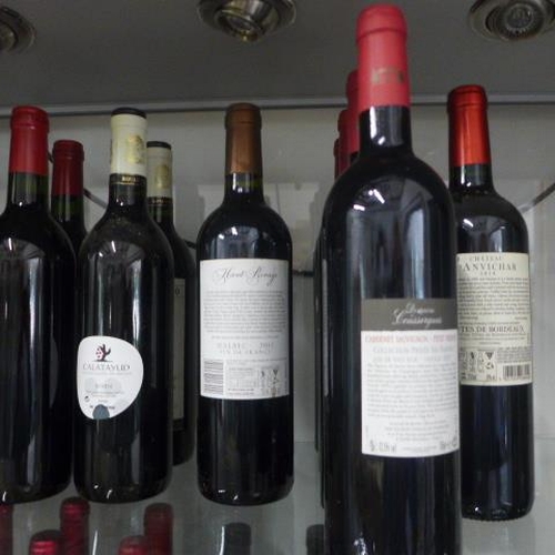 31 - Eleven bottles of red wine - Montepulciano d'Abruzzo 2004 x 2, Chateau de Pillardot Bordeaux Superio... 