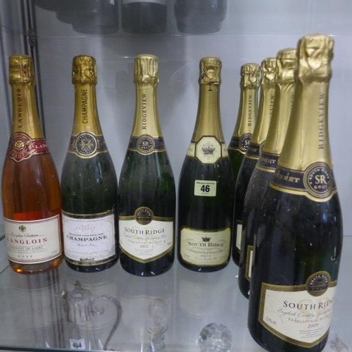 46 - Four bottles of South Ridge sparkling wine 2009, one 2012 and 1996 Chardonnay and Pinot Noir, a Sund... 