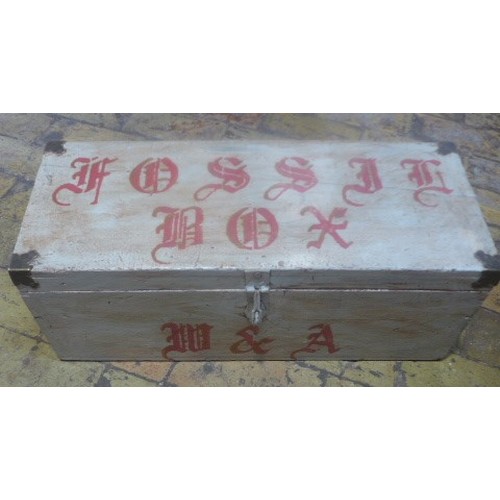 83 - A painted 'Fossil' wooden box - 21cm x 60cm x 25cm