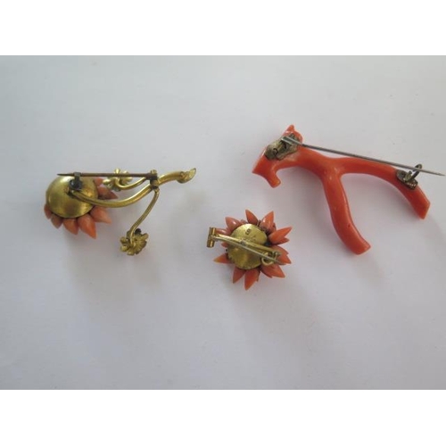 70 - Three coral brooches, two in floral form and one stick coral brooch in wishbone form - all on base m... 