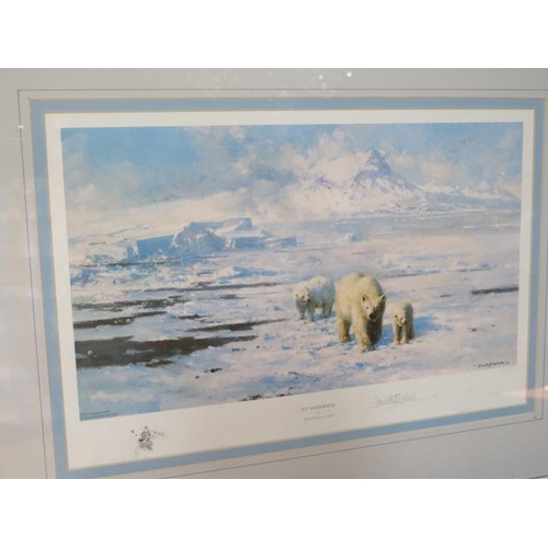 482 - A David Shepherd signed print 138/500 Ice Wilderness - in good condition - Width 62cm x Height 48cm