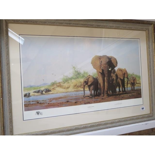 485 - A signed David Shepherd print 1453/1500 of Elephants entitled Evening in Africa - Width 98cm x Heigh... 