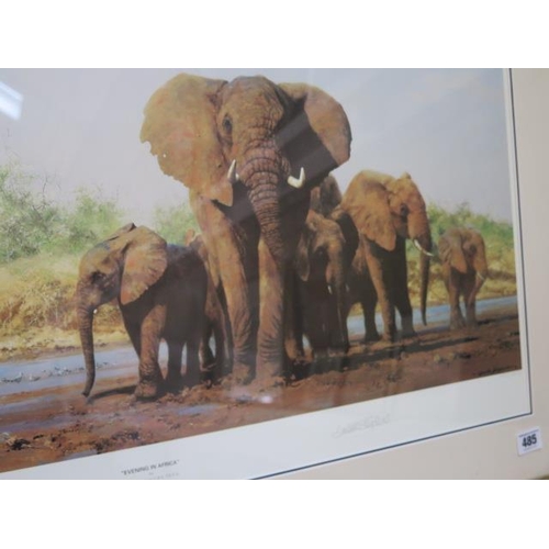 485 - A signed David Shepherd print 1453/1500 of Elephants entitled Evening in Africa - Width 98cm x Heigh... 