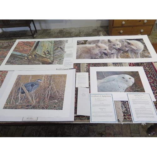 490 - Four unframed prints - A Carl Brenders print Tundra Summit Arctic Wolves, signed, 53cm x 101cm, 682/... 