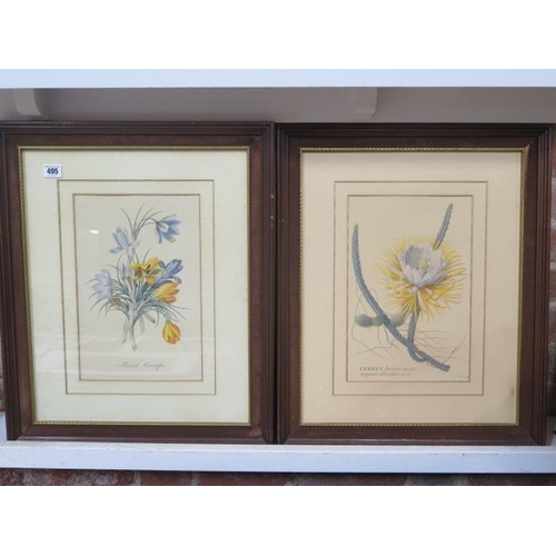 495 - Two framed floral prints frames 60cm x 49cm - glass missing to one otherwise reasonably good