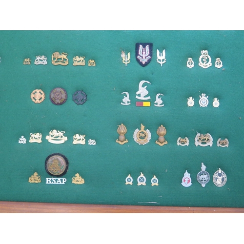 401 - A well presented collection of Rhodesia Military cap and cloth badges including SAS - frame size 64c... 