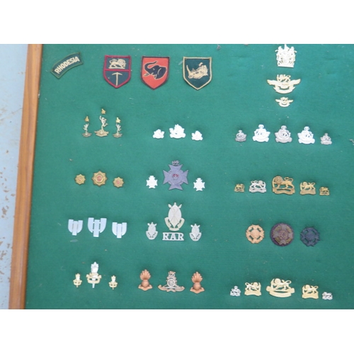 401 - A well presented collection of Rhodesia Military cap and cloth badges including SAS - frame size 64c... 