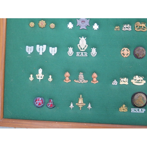 401 - A well presented collection of Rhodesia Military cap and cloth badges including SAS - frame size 64c... 