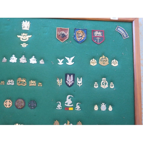 401 - A well presented collection of Rhodesia Military cap and cloth badges including SAS - frame size 64c... 