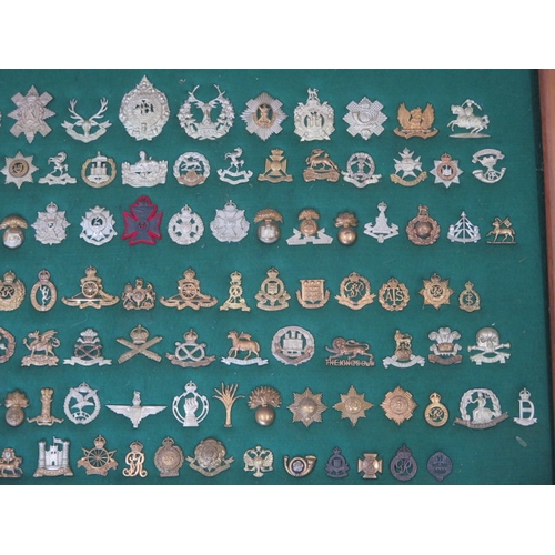 402 - A mounted and framed display of British Military cap badges - 117 in total - 65cm x 95cm