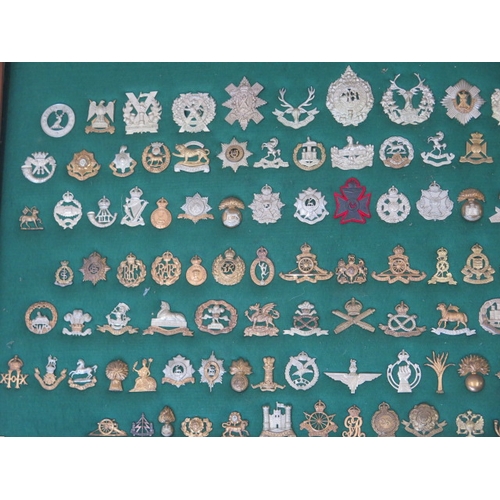 402 - A mounted and framed display of British Military cap badges - 117 in total - 65cm x 95cm