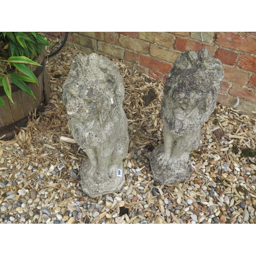 569 - A pair of concrete garden lions - Height 55cm