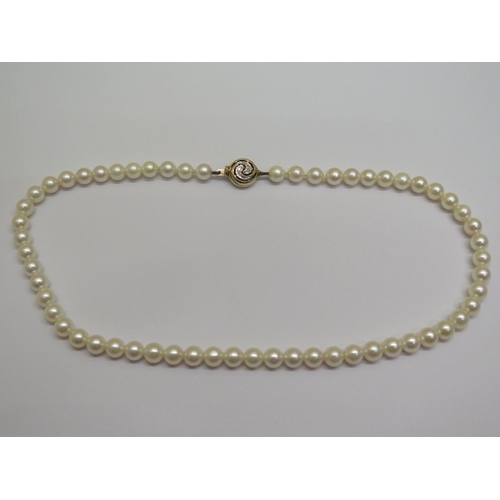 100 - A single string of pearls with a 9ct gold clasp - Length 39cm - pearls approx 6mm diameter - good co... 