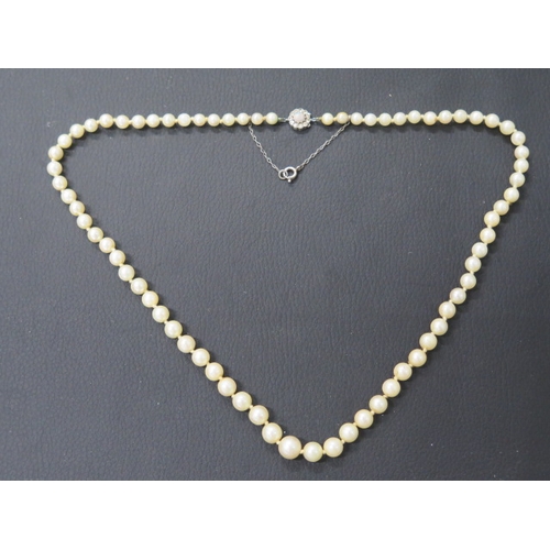 148 - A Mikimoto single string graduated pearl necklace with round 18k white gold clasp set central with o... 