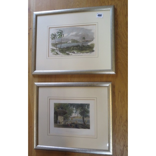 480 - A pair of coloured prints - 40cm x 33cm - in silver coloured frames