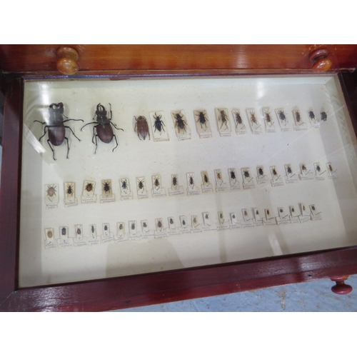 502 - A collection of butterflies and beetles housed in a 19th century mahogany eight drawer collectors ca... 