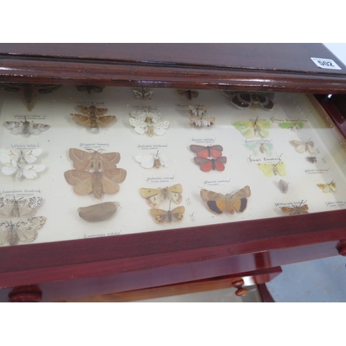 502 - A collection of butterflies and beetles housed in a 19th century mahogany eight drawer collectors ca... 